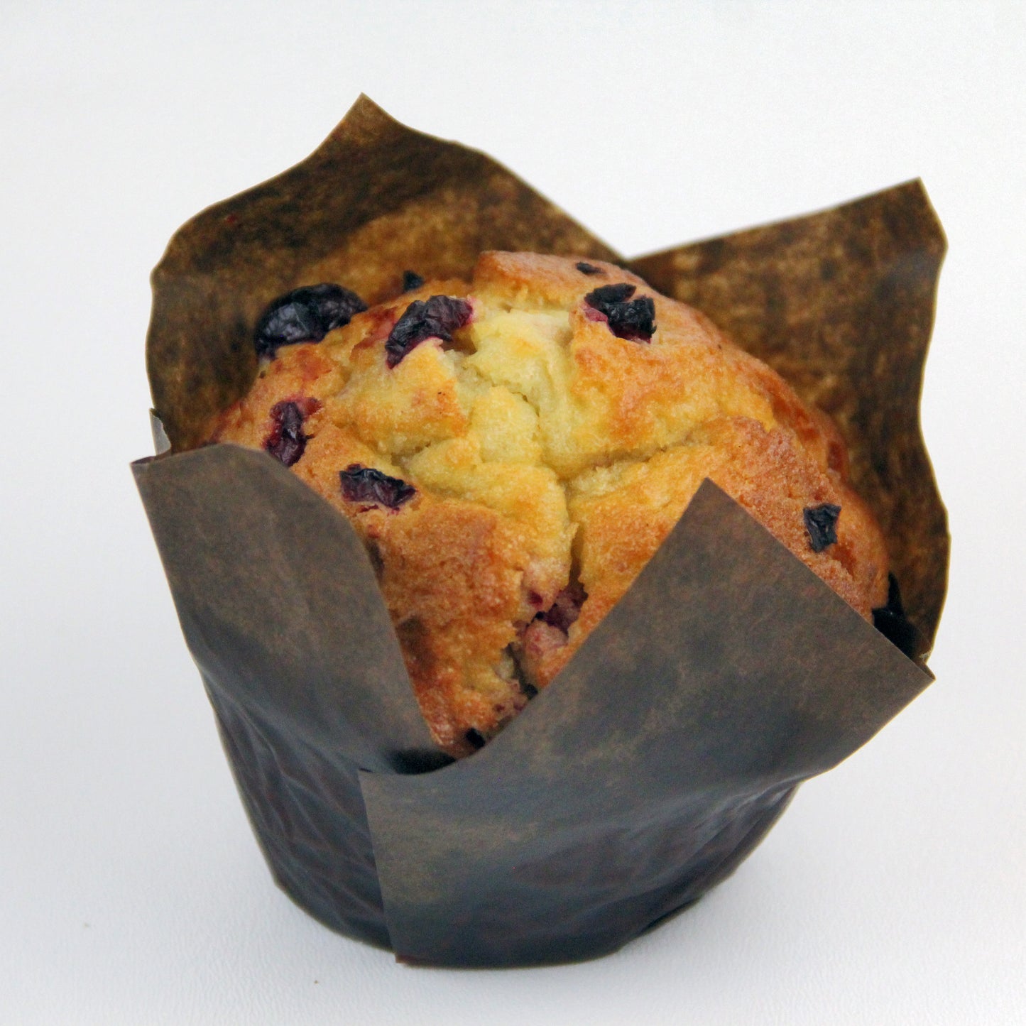Cranberry Nut Muffin
