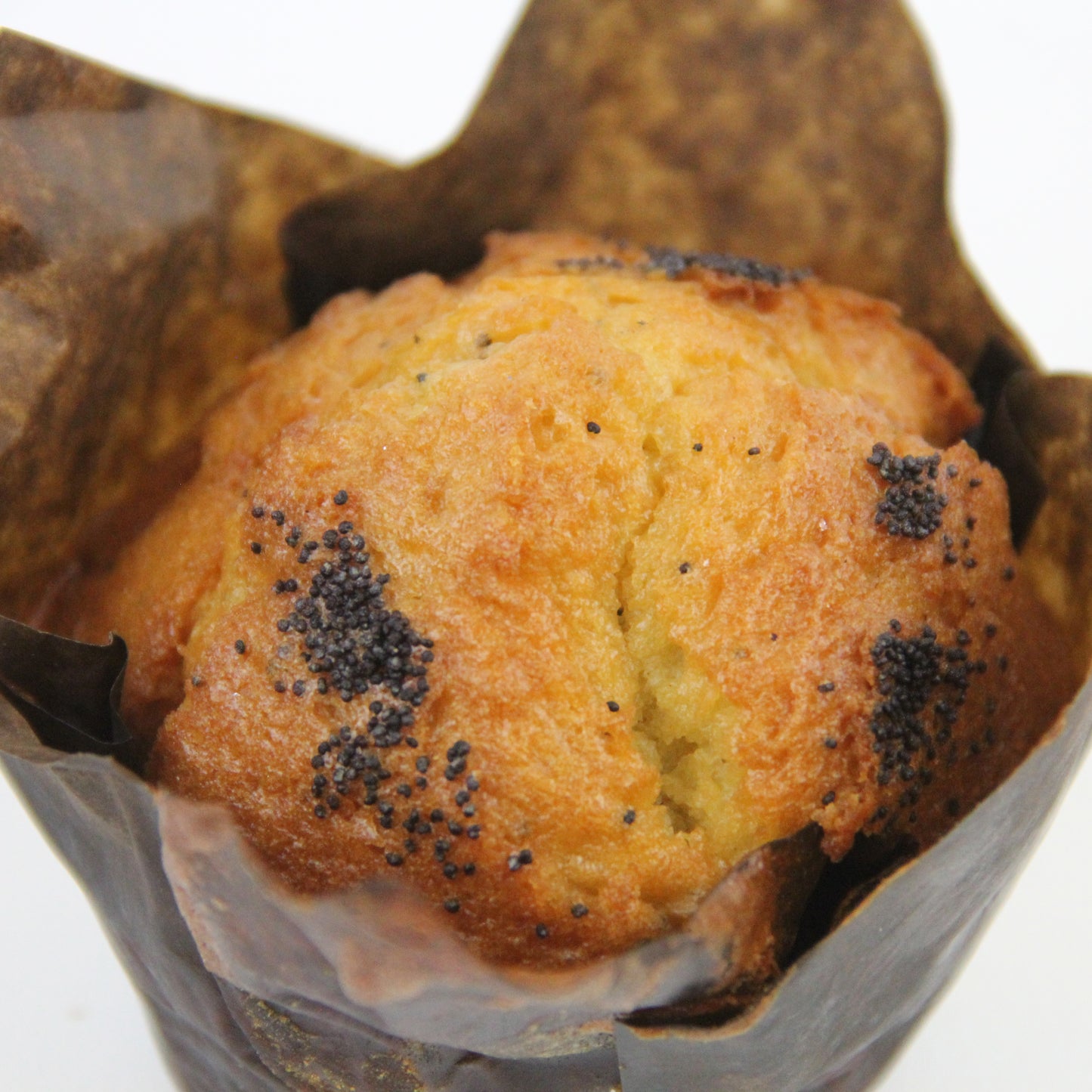 Lemon Poppy Muffin
