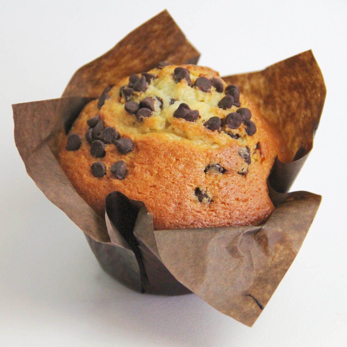 Chocolate Chip Muffin