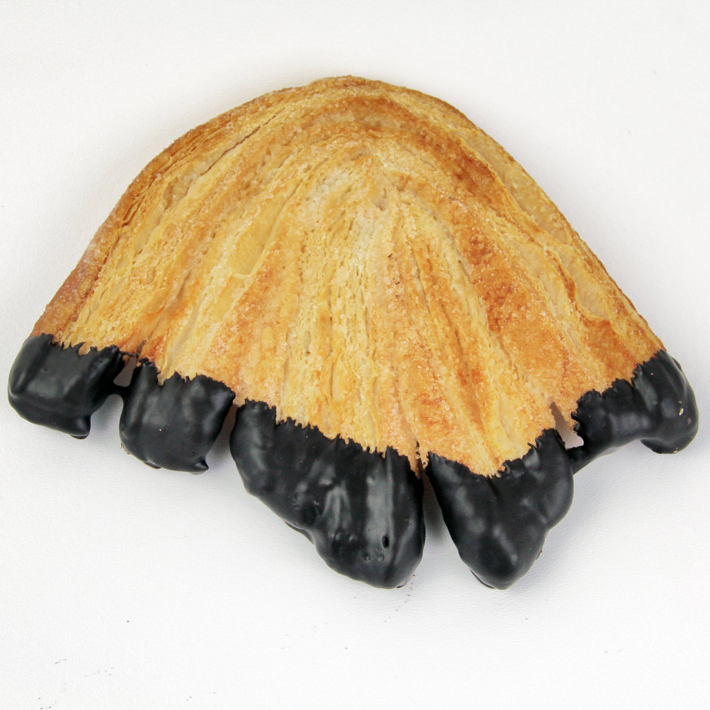 Elephant Ear Chocolate Dipped