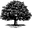logo of FORESTPARKBAKERY.COM